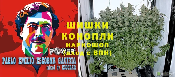 apvp Кинешма